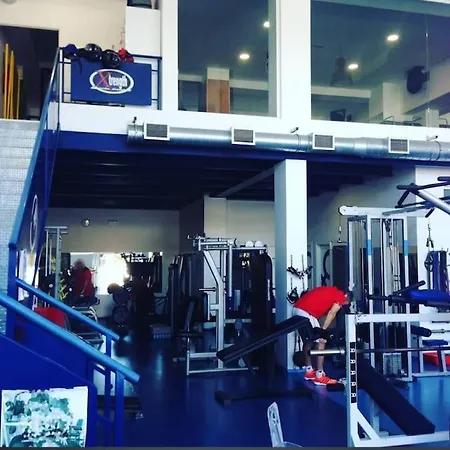 Sunny Ocean View Palm-mar