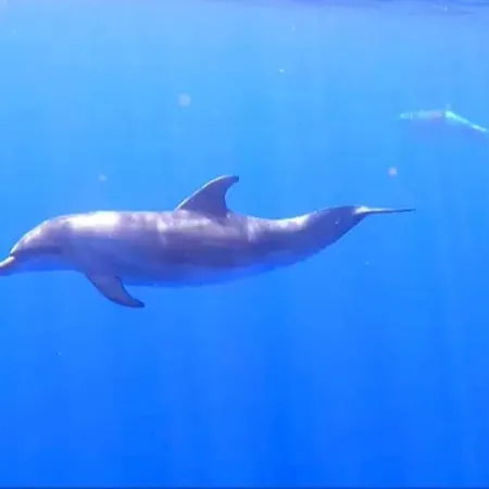 דירה Sunny Ocean View